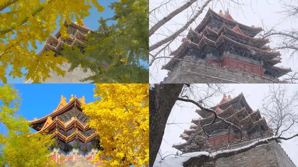 beijing-4-seasons